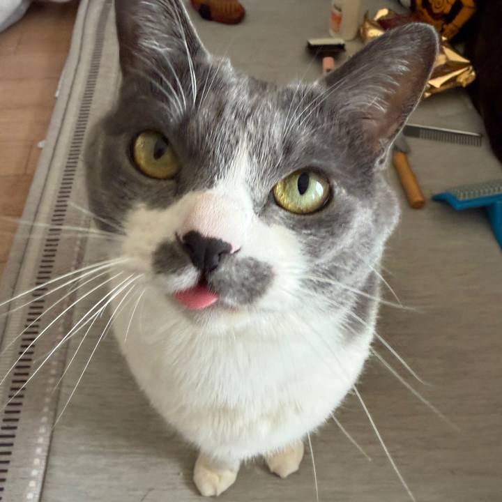 A323ce70 dd81 4b5c 9617 42039616edb4 1770540306101