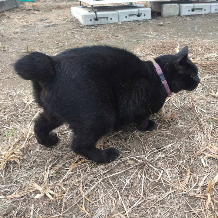 A323d75d 3819 4a33 8d40 532c0563be85 1727672702041