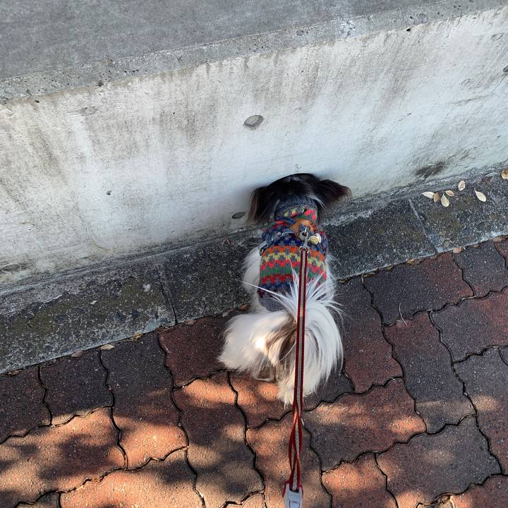 A323e5a9 bcc3 41e0 8256 362d00143333 1641703396760