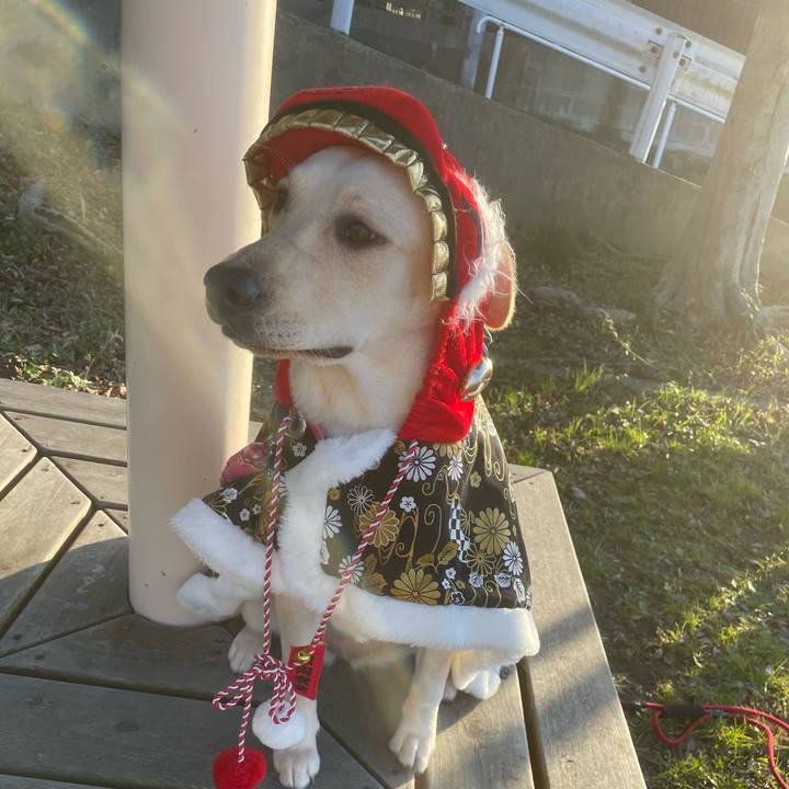 A323e73d 9562 4982 8dce e5ecea1142fb 1640346640588