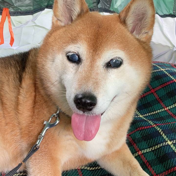 A3241de0 7583 4e20 ac7c 700260ddc0e5 1687856456946