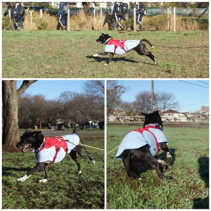 A3242980 2318 4e6f aa7c 58ce5505ae4f 1670374410245