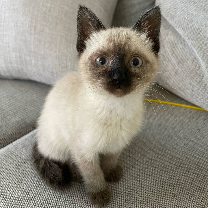 A3243cab baca 4baf 8f38 9e11a27885c8 1687816474749