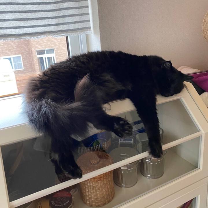 A3243d2c 9c48 4988 a883 60b380752772 1592185657970