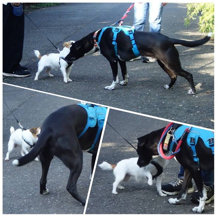 A32452ab 8067 4902 b959 7bf7c39fd849 1633394222651