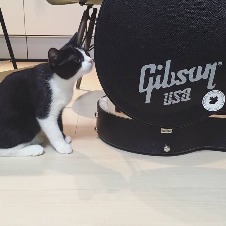 A3245419 ec35 465f 8b2e 700cc0dd701f 1529752153399