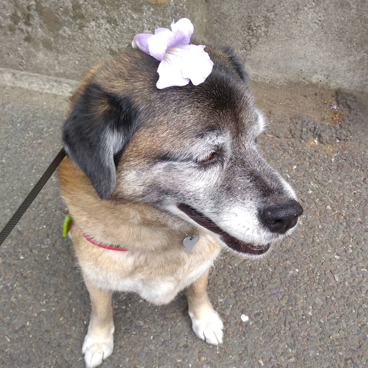 A324547e 5122 47d6 a2ac 2b93fcaabf5e 1557708036475