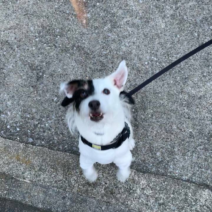 A324713f f788 4bd4 811d 671a52a89cb4 1670400331117