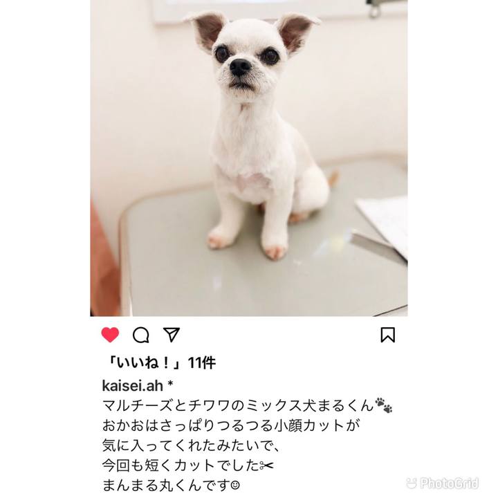 A3247b05 0d1e 4f47 8f14 5134dec18199 1634134336139