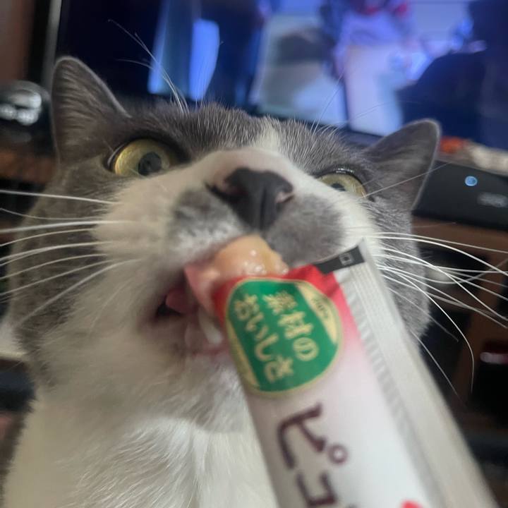 A324a230 c7e6 44d8 9c99 f802a2b25cc4 1710483320820