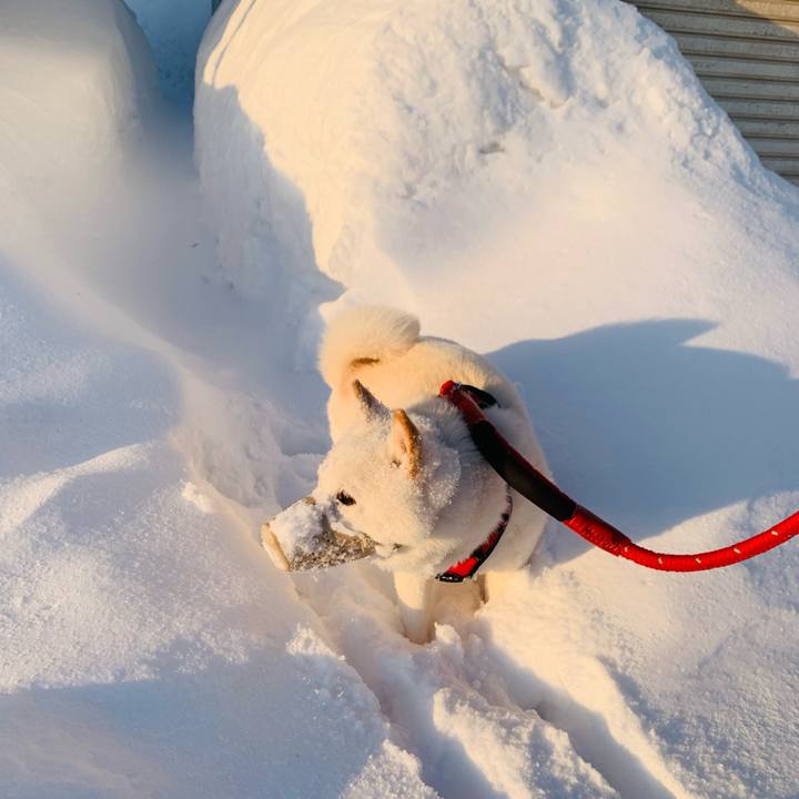 A324a675 e266 4fe5 867e cec96dc45dfb 1677451783023