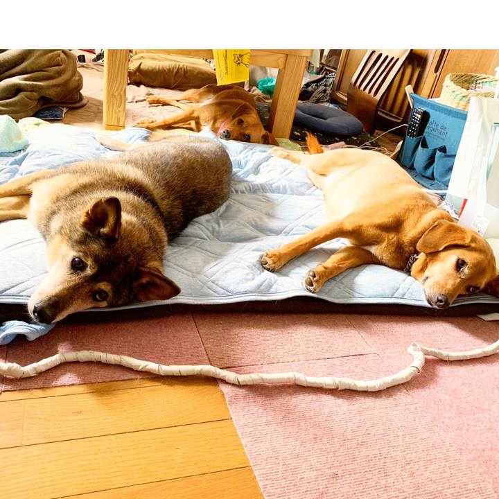 A324dd89 76c4 41dd 8635 ac3d67315503 1564900333633