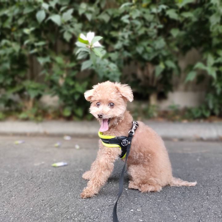 A324f17c 9cc0 4b89 ae6f c617140c819e 1628637794514