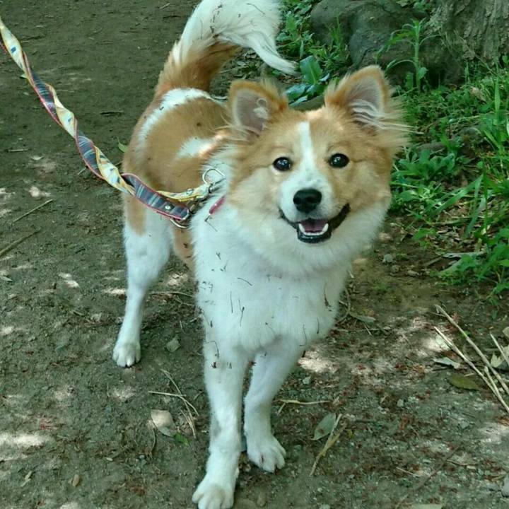 A3252eab 504a 45a5 bed9 d322f817b8ee 1513337262413