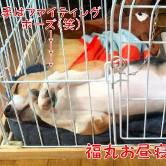 A3252f48 868a 4394 bd33 5e21363797f1 1685836810889