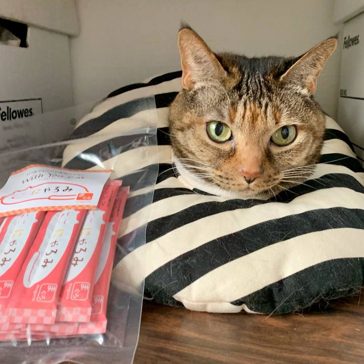 A3255600 d717 4340 88fe 42075c7a5823 1620946368265