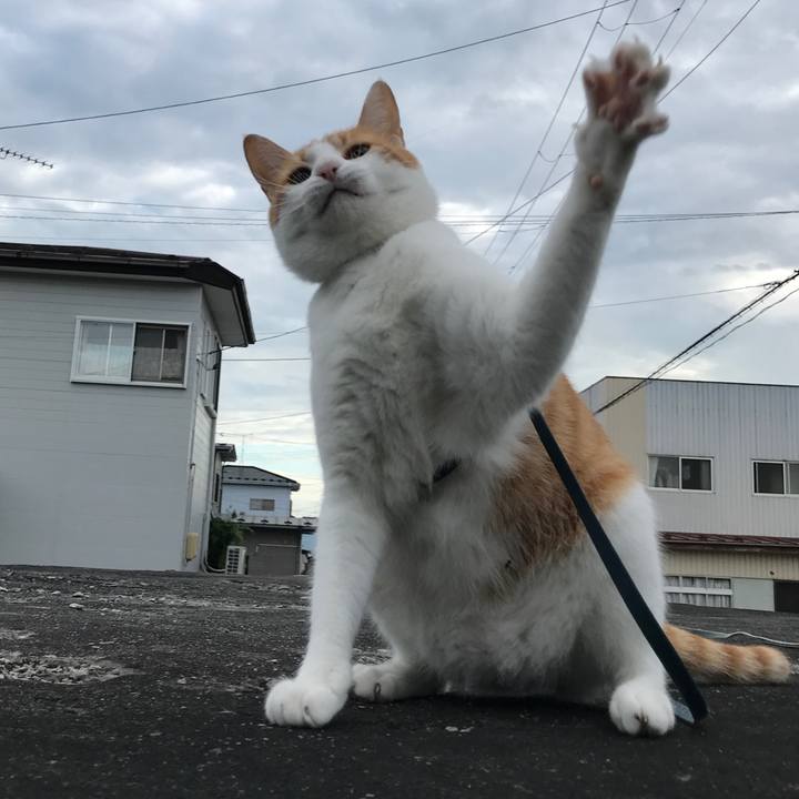 A325b322 19ee 4298 bcf5 abbbc2d1f350 1537073685473