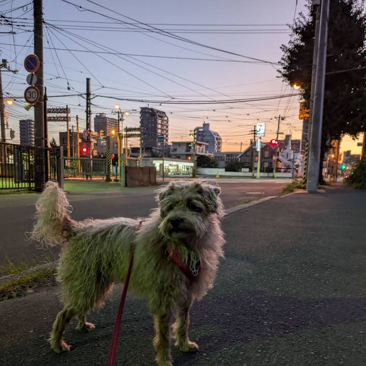 A3260052 e55b 475a 8fbb e977a5d361fc 1728684261848