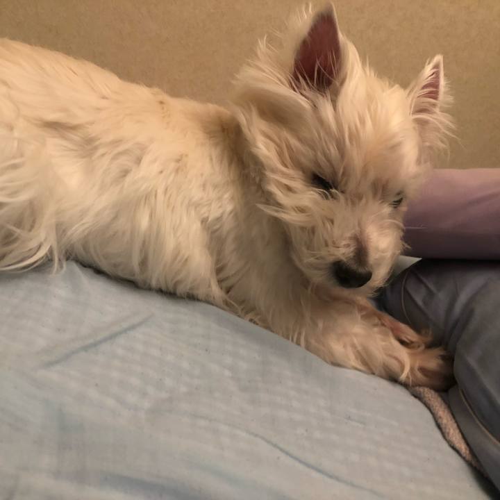 A3260a40 3c14 4bff b58e 46adcb002602 1554644062388