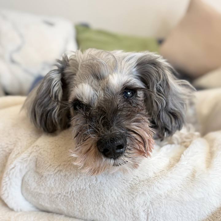 A3261240 d011 46a3 bb18 9c18c2ed3211 1768624213229