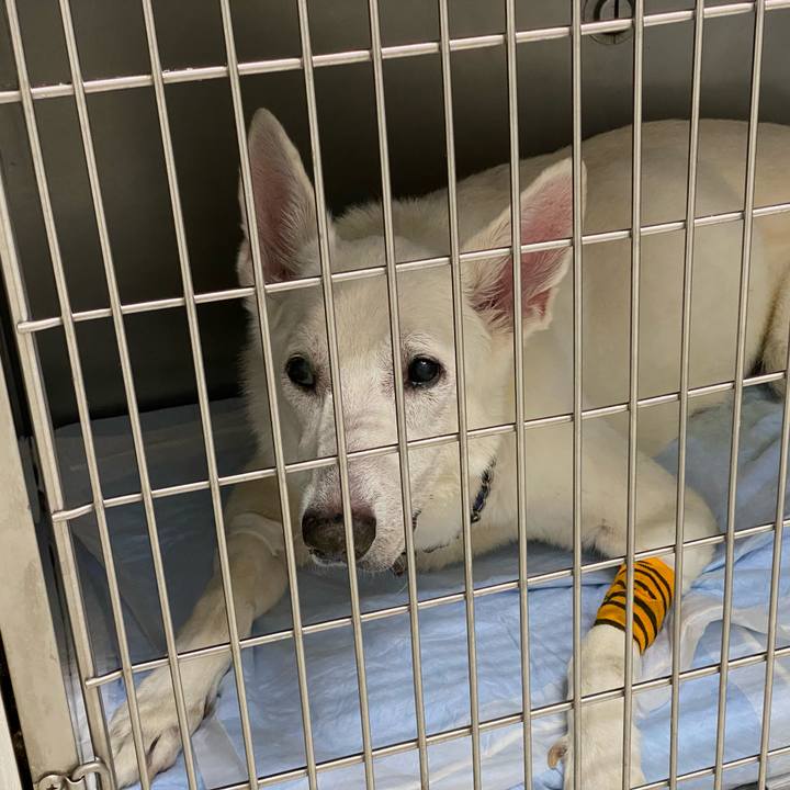 A3262572 7b79 4541 9ae7 cd37f402ccd8 1602762305951