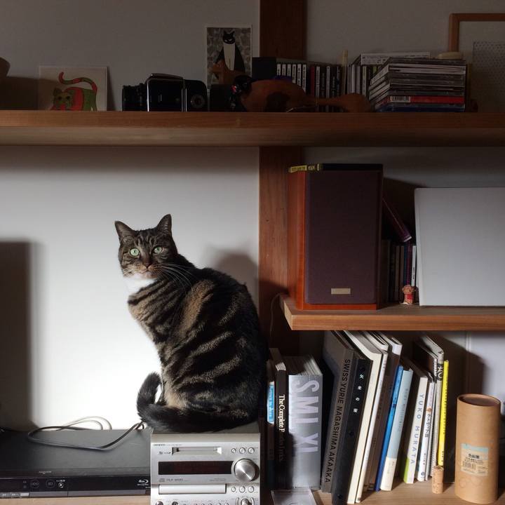 A32657be 369d 4435 9971 56d1c597deff 1542928453432