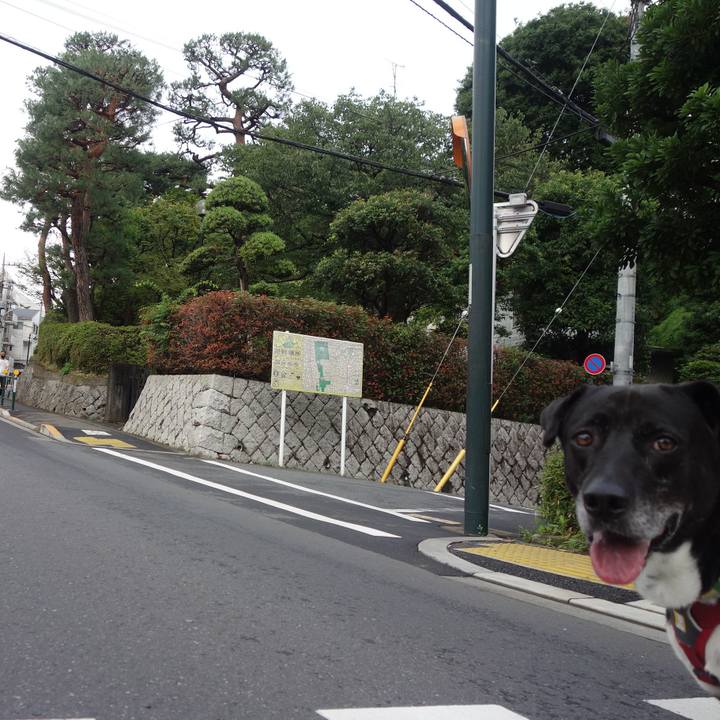 A32667c3 af98 44ad 959d ec9693fa3875 1688601572054