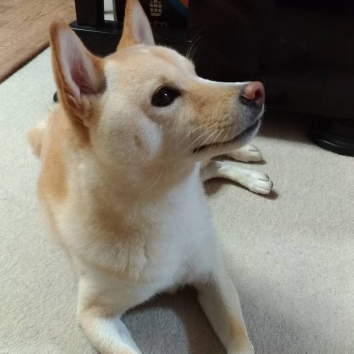 A3268140 5889 4917 8d34 b11a2e477eb4 1536984367924