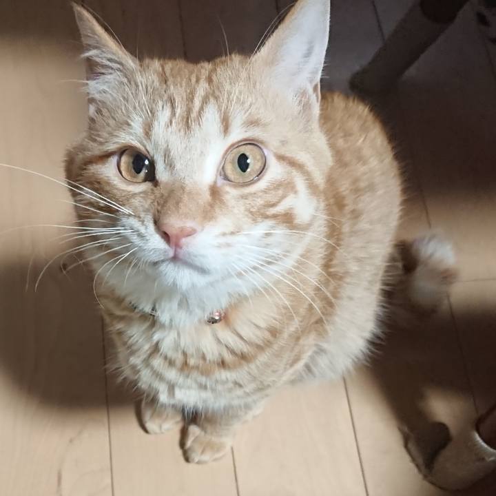 A3268e5f f170 4108 b7ce 1245e19699c6 1646038630090