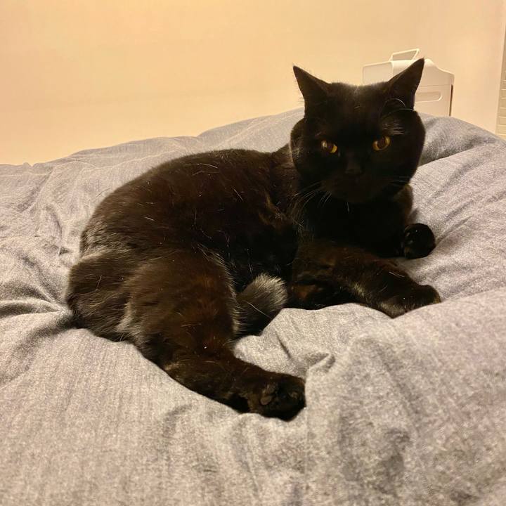 A3269f1b 6d46 4660 b230 a2a8a34168dc 1675775312999