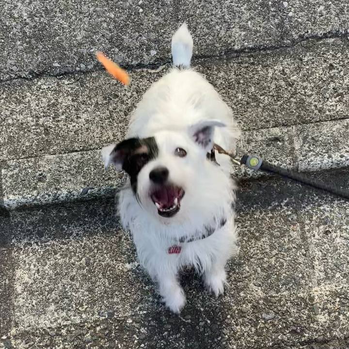 A326aa10 2972 4feb 8815 c254b31eb7e3 1693608455659