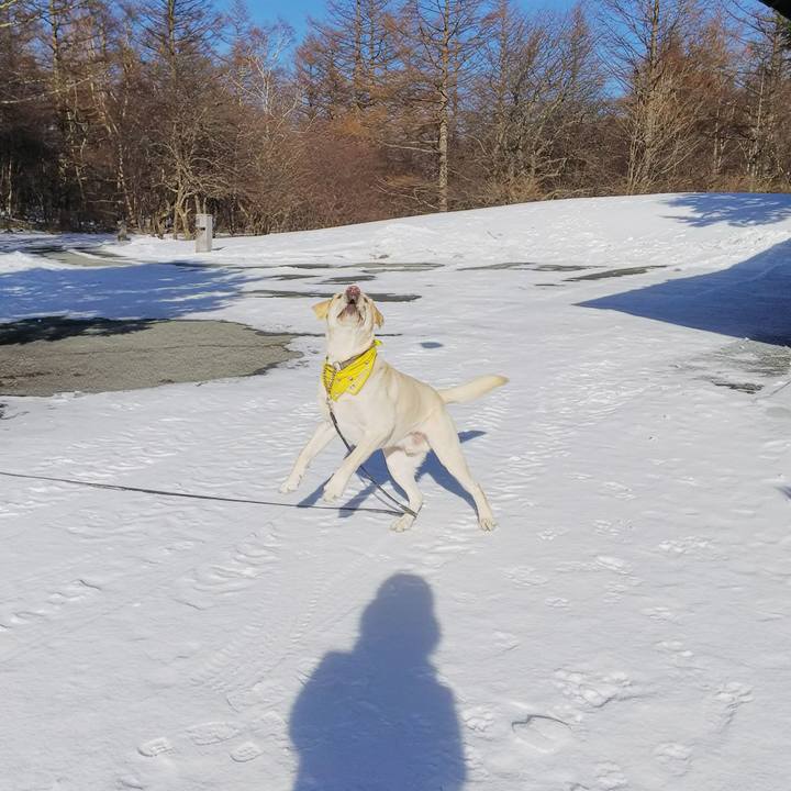 A326b854 d5e0 4e35 ad97 05491da5fc17 1515316625321