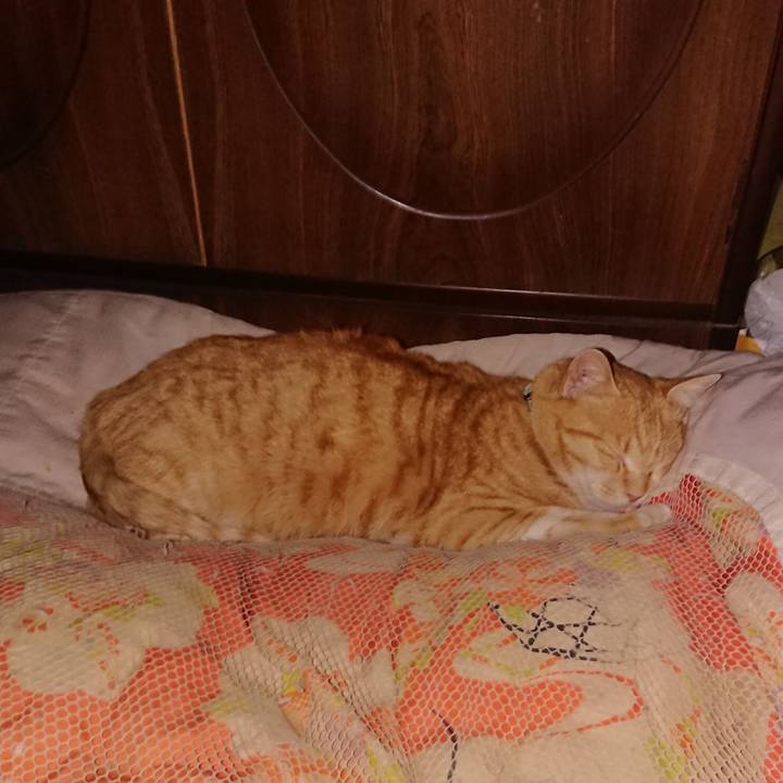 A326ba34 4028 41d3 8bd5 da7466ebd88b 1585837377670