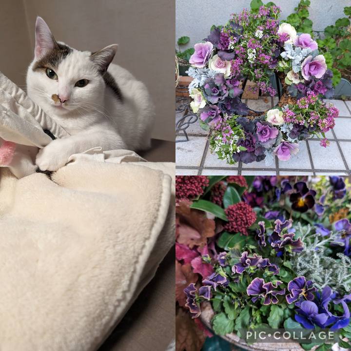 A3272aeb 2ab8 4724 a0bd 6d95785dbaf7 1702268228530