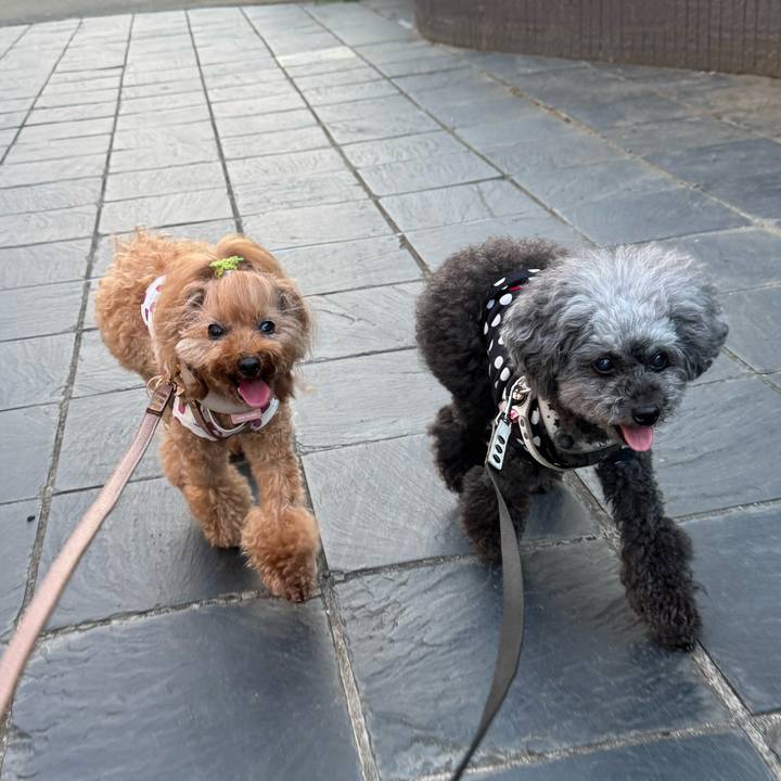 A32735c7 ff65 49b5 b8a4 821c7c5a2c07 1755300148374