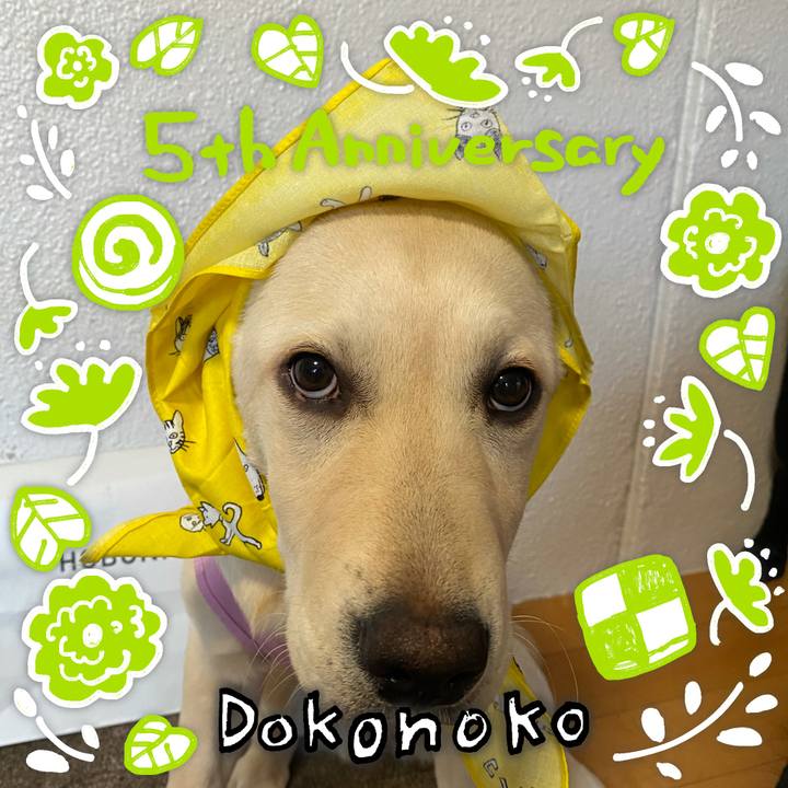 A3273b4a 1ea5 4387 9b5f 27fe1c5a108b 1622852984271