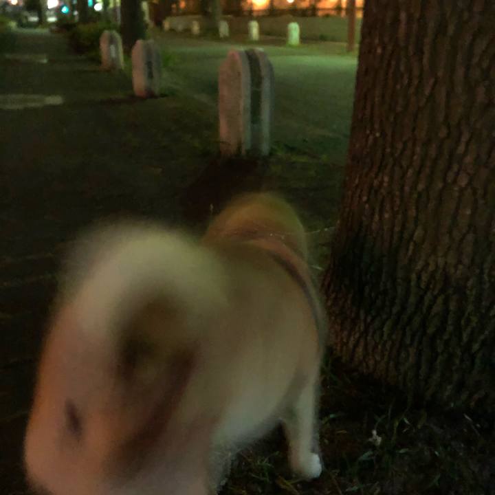 A3275055 b26d 47db b5f8 5598df6efc9d 1557408053900