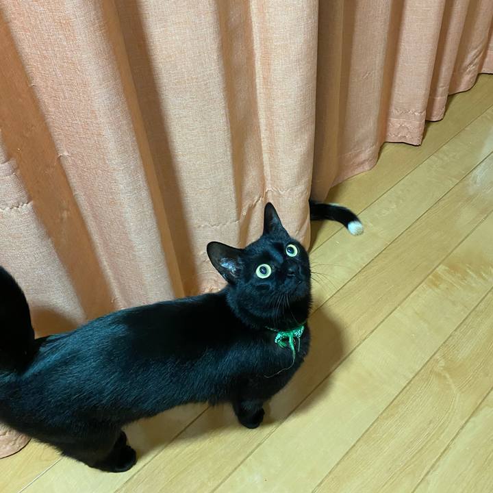 A3275ae7 eadc 40d6 a1cd 6f7a05a45888 1649862120124