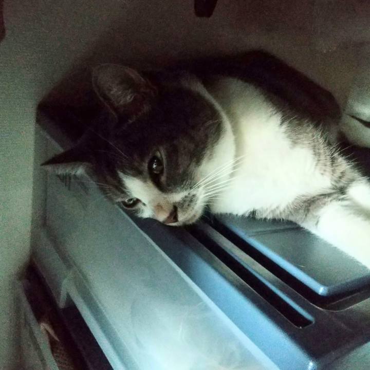 A3276250 f01b 418a 99f9 8ce26776d065 1630281543670