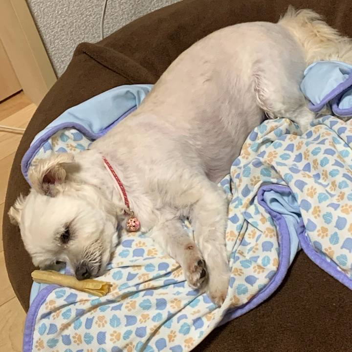 A327a0a1 6d62 4bda bd3e 30c0807ce63f 1591357398990