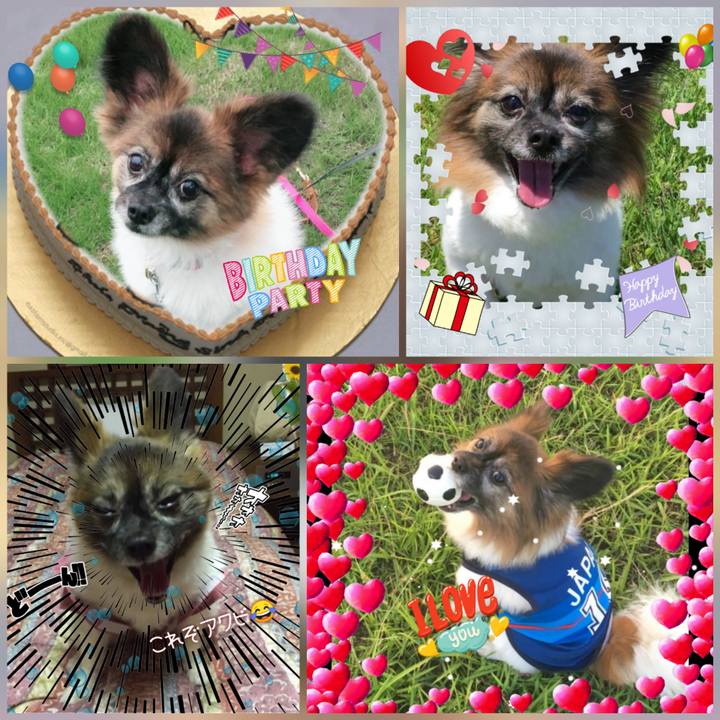 A327b781 45ff 4322 abe6 47685d062bb6 1546090689392