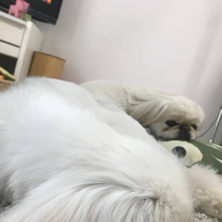 A328104b a261 44bf 9af9 70a7ea968e17 1527134793288