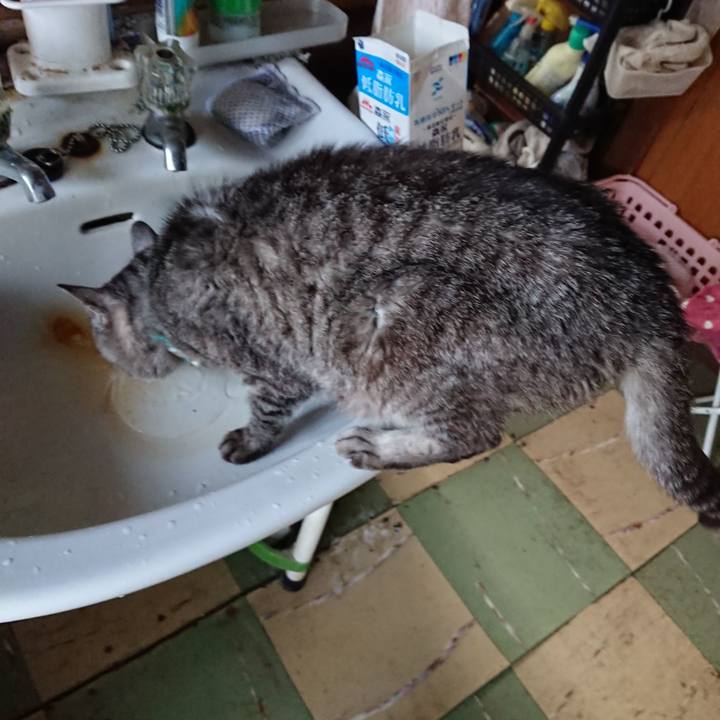 A3281377 4d6d 46d4 abbe 87210278bc42 1572472527989