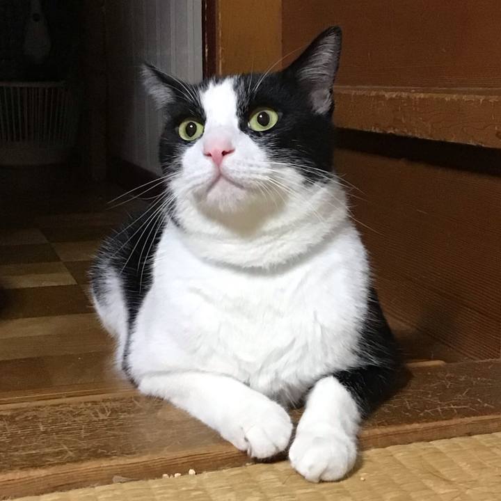 A3284eef 1423 42ee bb67 c514b4930dd9 1724412215121