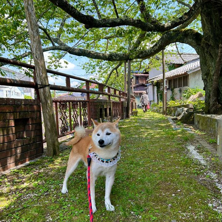 A3285c62 ad07 492c 8fd7 6f1000aac577 1718018900953