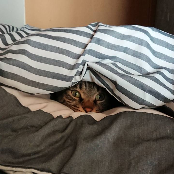 A3287060 82f6 4b63 9265 c00b561c1ba8 1518825533689