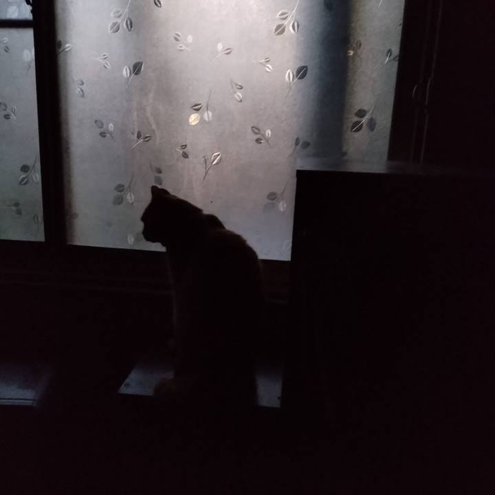 A3287e40 d8ab 4245 b2f0 f4445f44f326 1668375519154