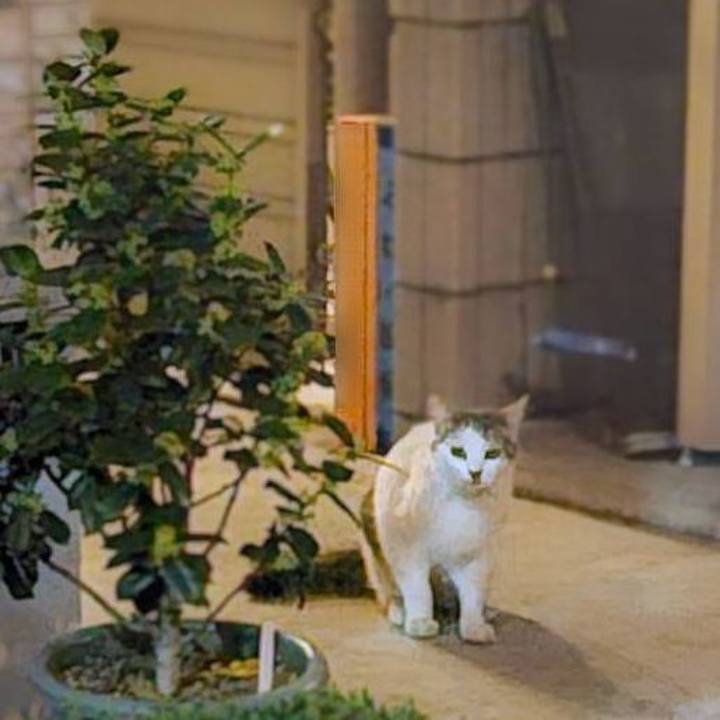 A3287e44 3c1f 471d b593 8e2519d02e2b 1744334618011