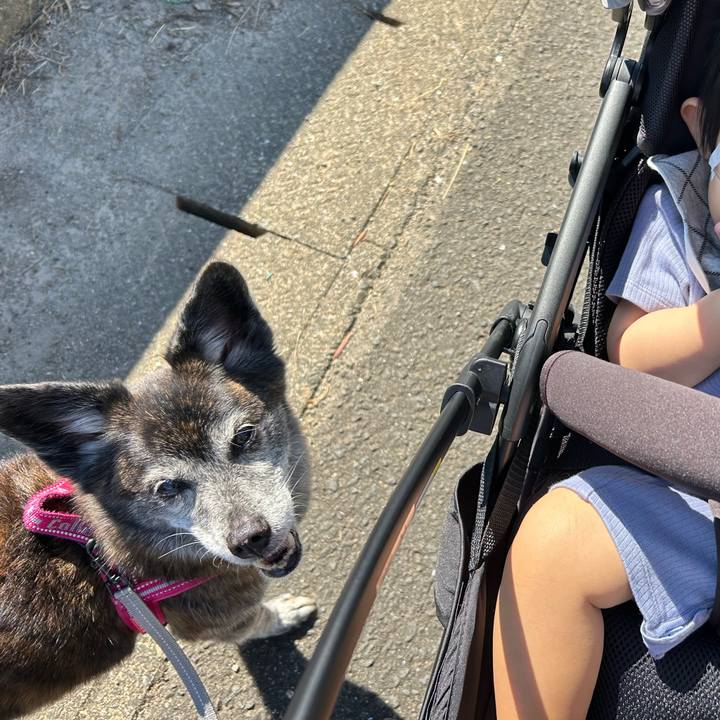 A3288634 e38a 4737 9da4 51bd844b5fdb 1728739017908