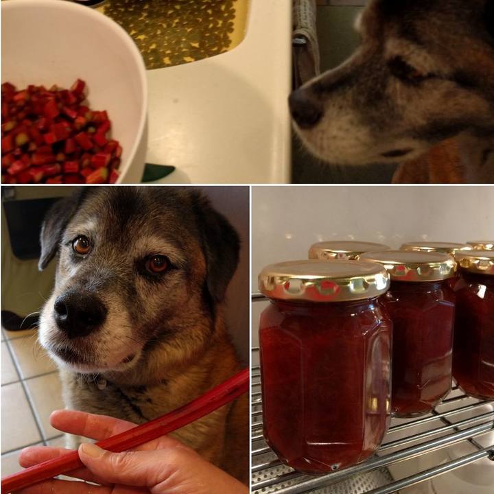 A3289065 b0ea 4afa b4b9 6ccf3c51e5a1 1529637524627